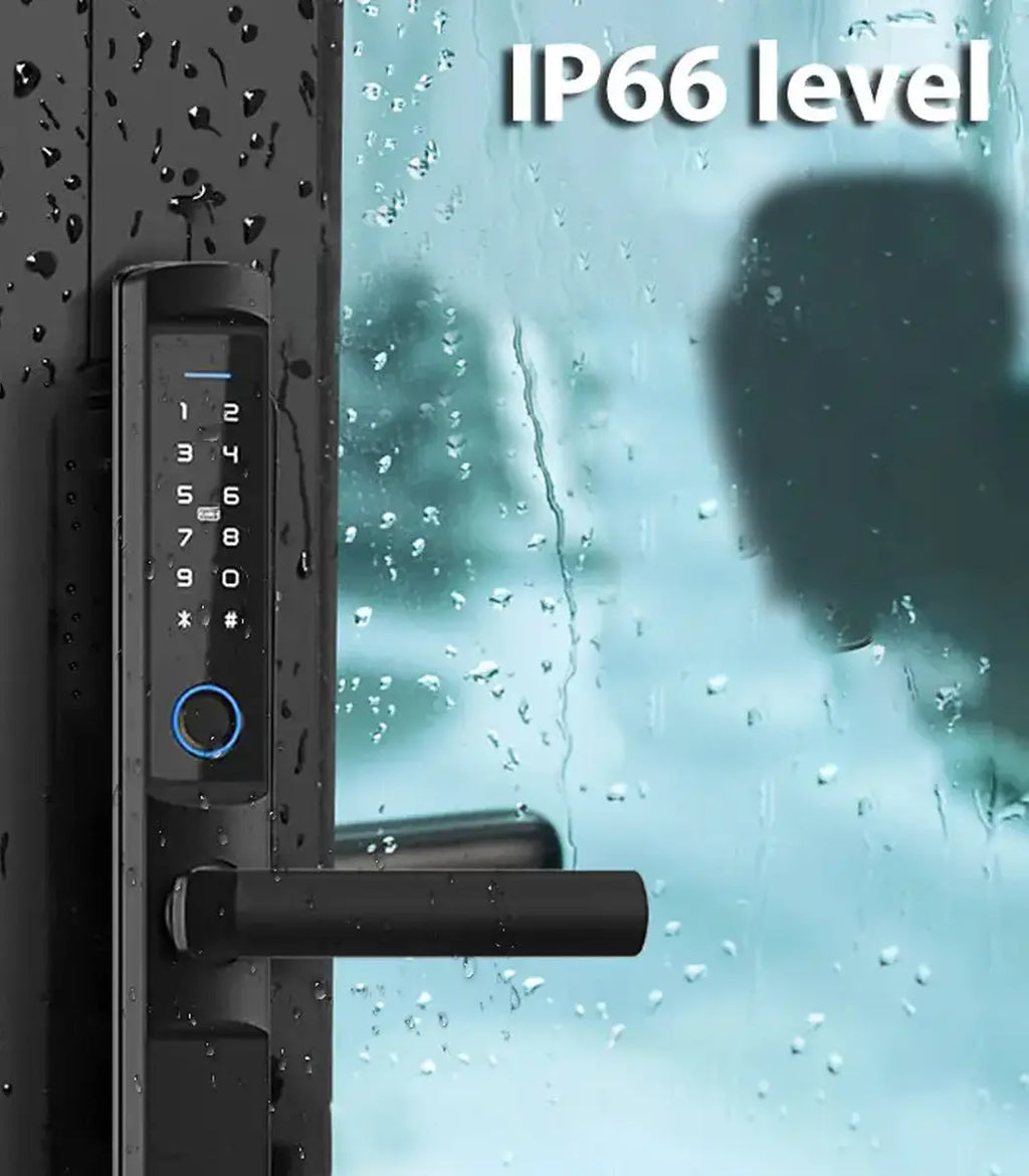 კარის ჭკვიანი საკეტი F2